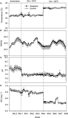 Impacts of Seagrass on Benthic Microalgae and Phytoplankton Communities in an Experimentally Warmed Coral Reef Mesocosm